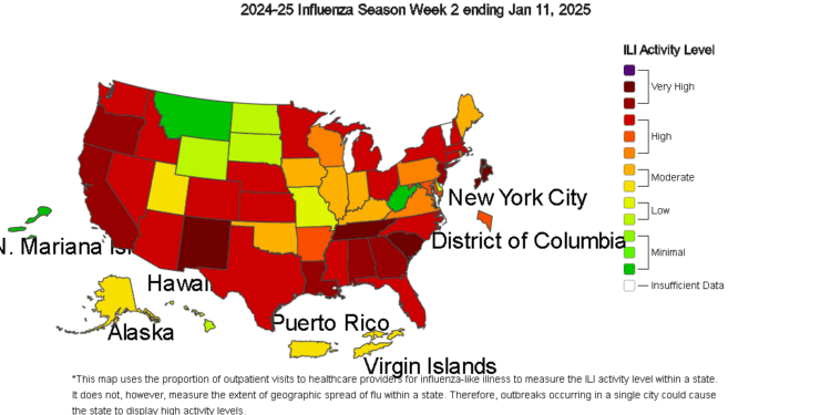 CDC Influenza Division